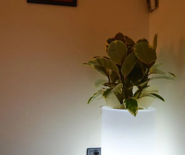 Nocleg ze śniadaniem Bissolati *